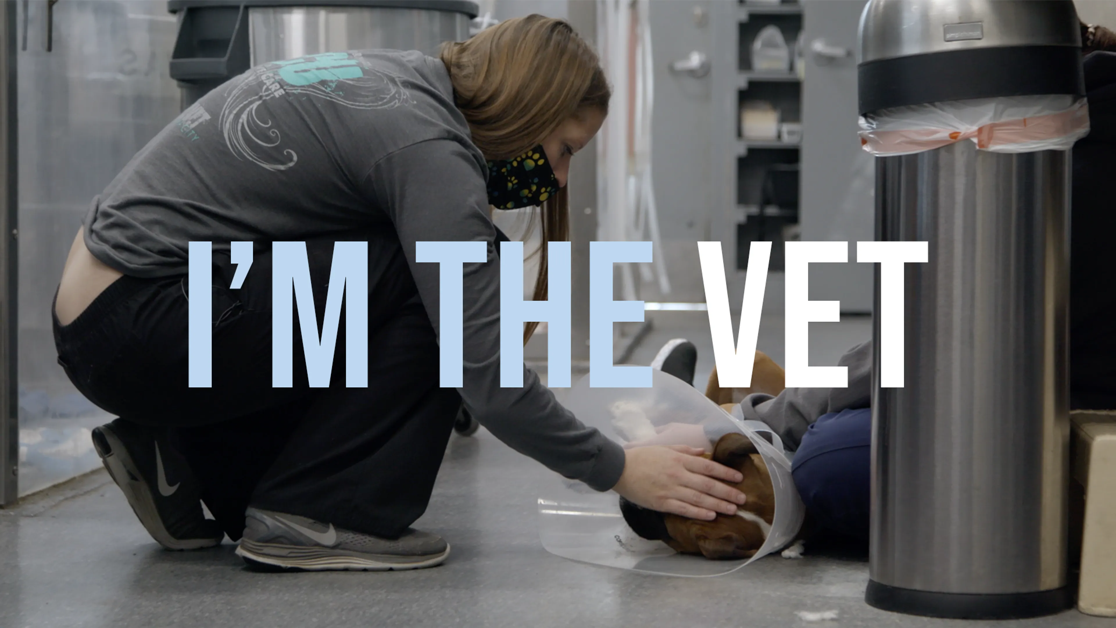 I'm the Vet poster
